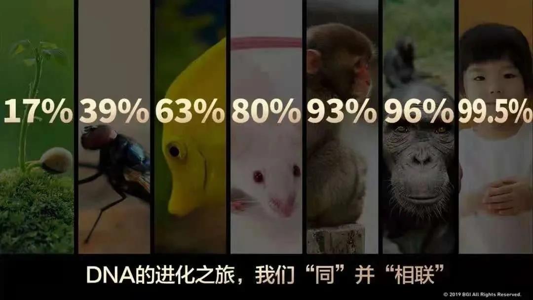11.jpg 11.jpg